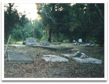 View of gravesites 1998